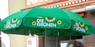 infostand sonja grüne dk 270221270221 (8)