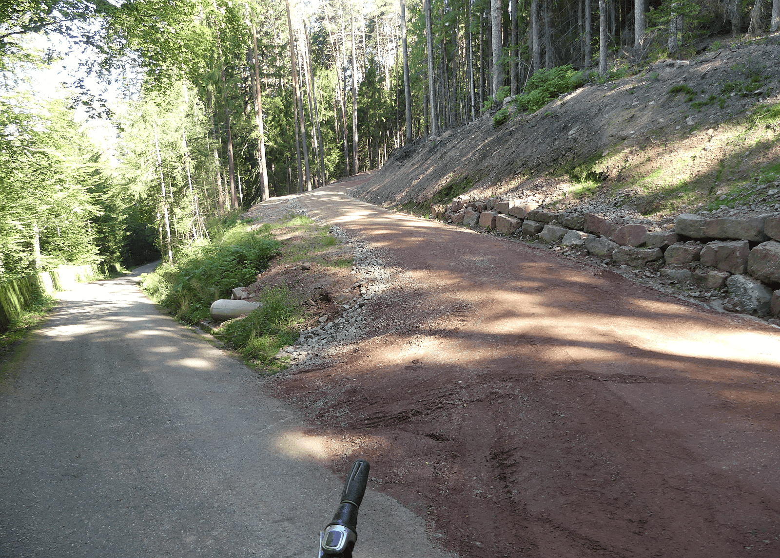 forstweg sulgen feinbelag dk 090824 (30)