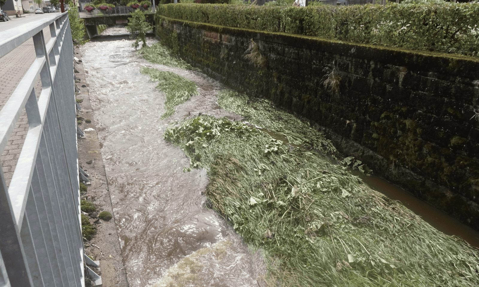 gewitter nach schiltach rem dk 130824 (28)