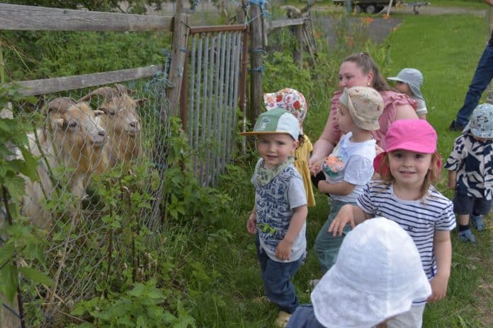 kinderkrippe eselohr bei den ziegen2 pm